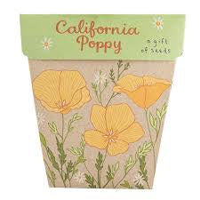 Sow 'n Sow's Gift of Seeds - California Poppy