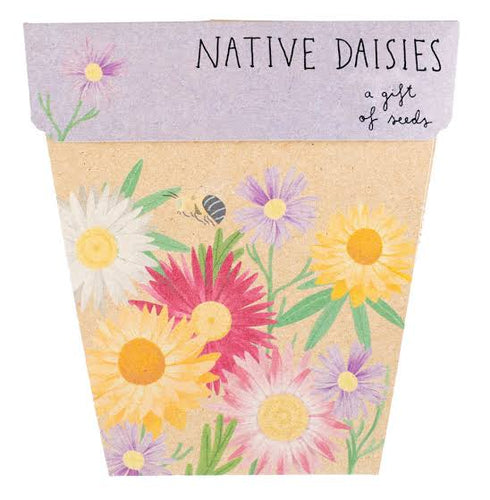 Sow 'n Sow's Gift of Seeds - Native Daisies