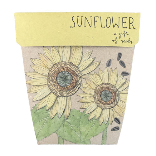 Sow 'n Sow's Gift of Seeds - Sunflower