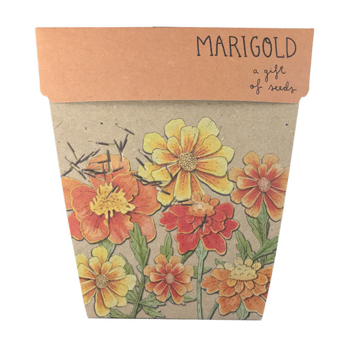 Sow 'n Sow's Gift of Seeds - Marigold