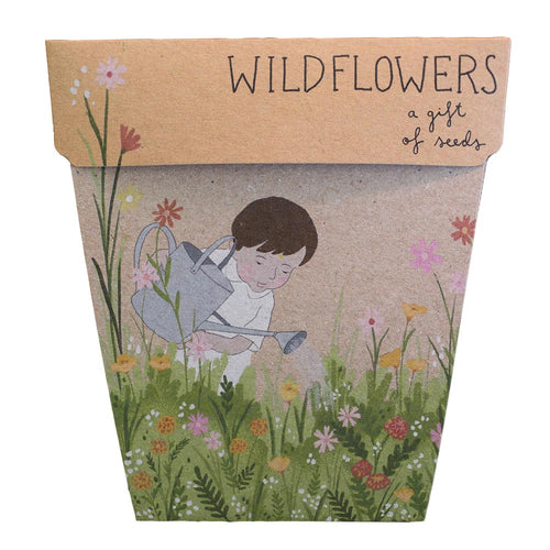 Sow 'n Sow's Gift of Seeds - Wildflowers