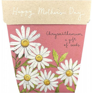 Sow 'n Sow's Gift of Seeds - Mothers Day Chrysanthemums