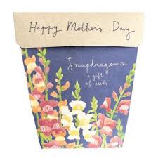 Sow 'n Sow's Gift of Seeds - Mothers Day Snapdragons