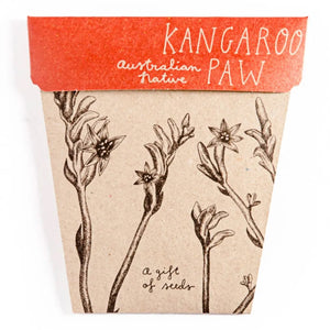 Sow 'n Sow's Gift of Seeds - Kangaroo Paw